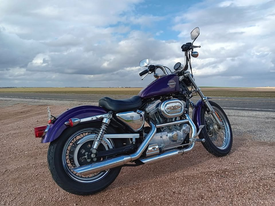 Purple 2002 Harley Sportster 883 XLHugger with chrome exhaust and spoked wheels parked beside an open road